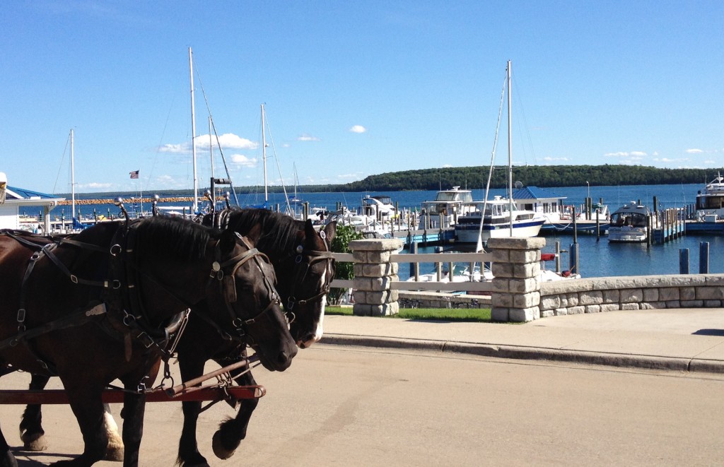 Horse-Drawn Carriage